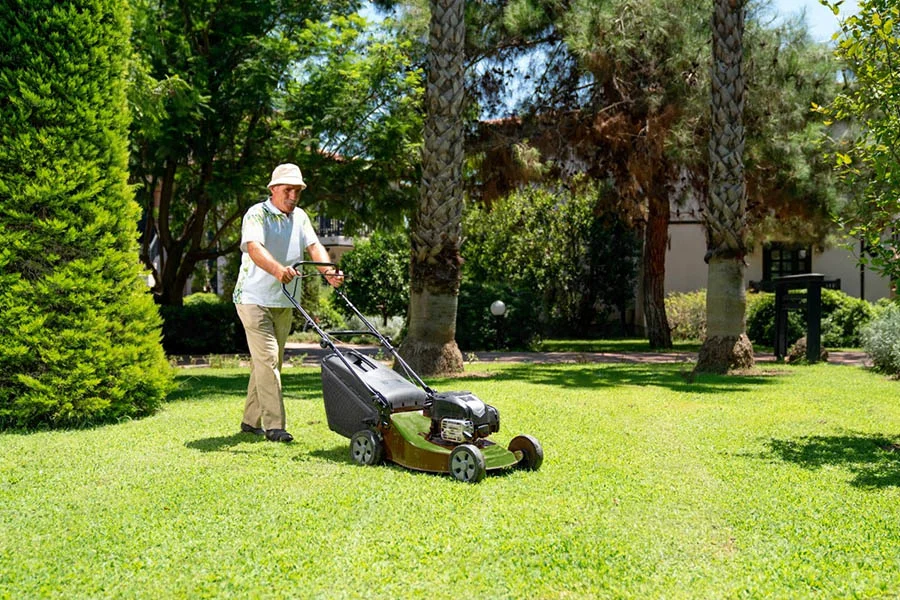 best self propelled electric mower